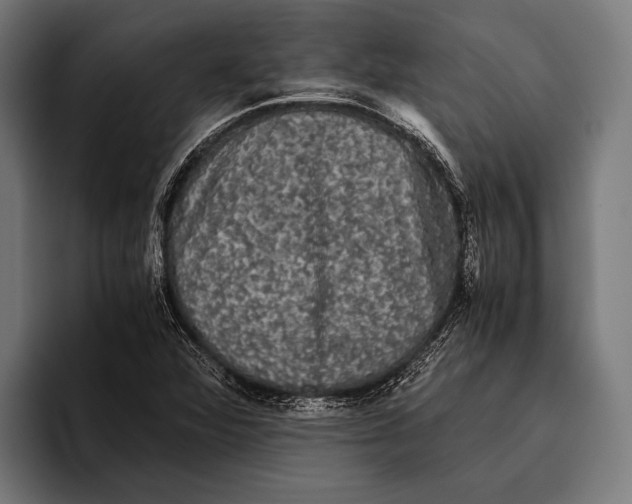 X0000093371360200711081516