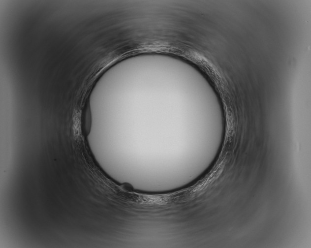 X0000093371361200711081516