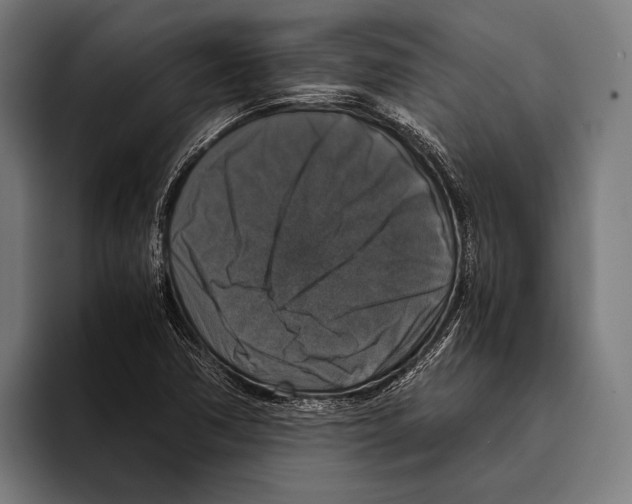 X0000093371362200711081516
