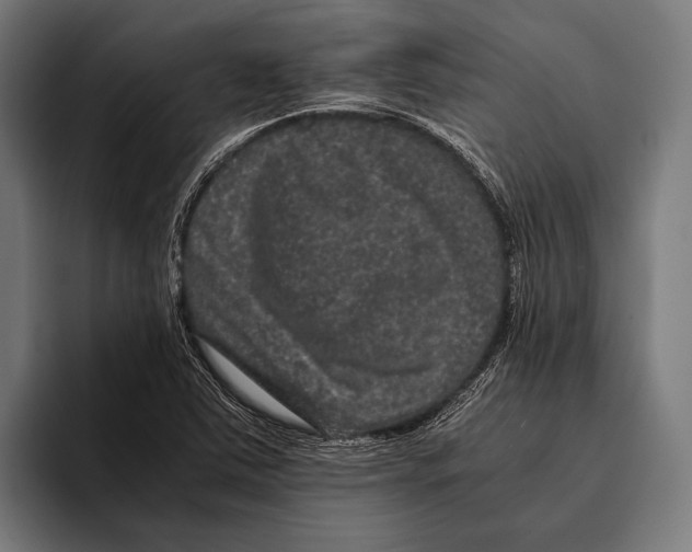 X0000093371363200711081516