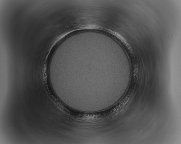 X0000093371364200711081516