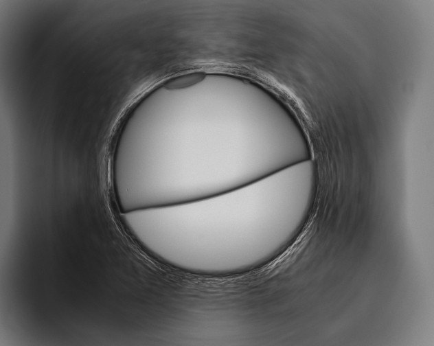 X0000093371365200711081516