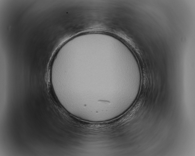 X0000093371366200711081516