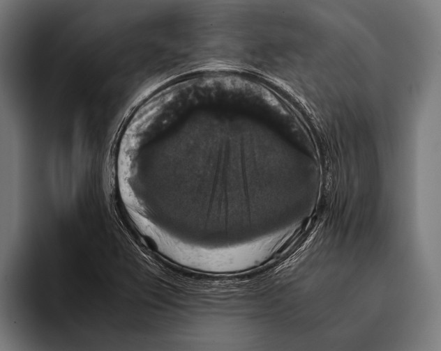 X0000093371367200711081516