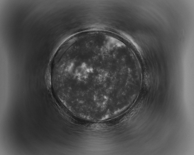 X0000093371368200711081516