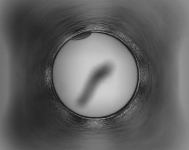 X0000093371369200711081516