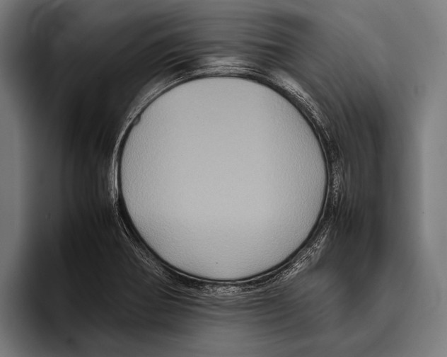 X0000093371370200711081516