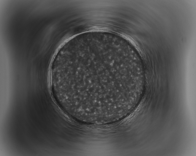 X0000093371371200711081516