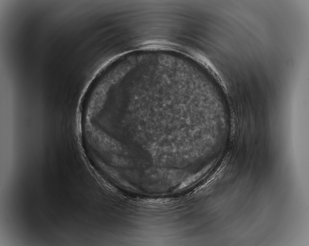 X0000093371376200711081516