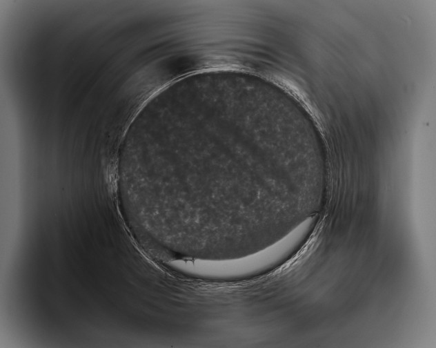 X0000093371377200711081516