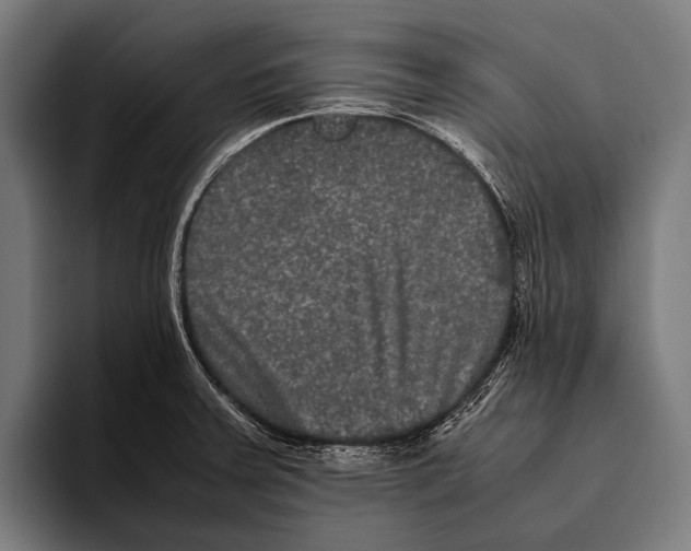 X0000093371379200711081516
