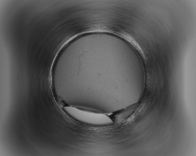 X0000093371380200711081516