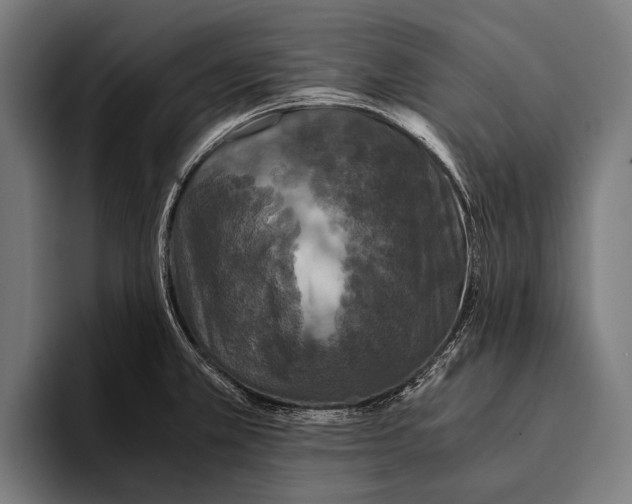 X0000093371381200711081516