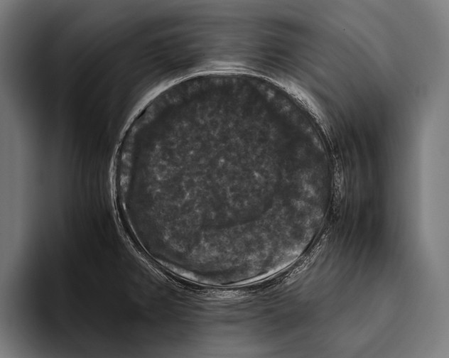 X0000093371382200711081516