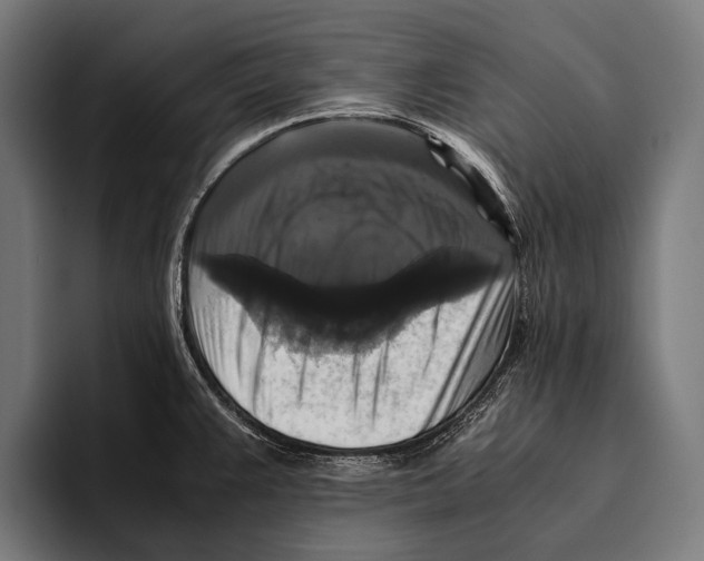 X0000093371383200711081516