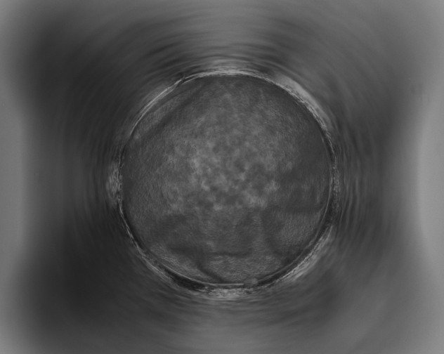 X0000093371385200711081516