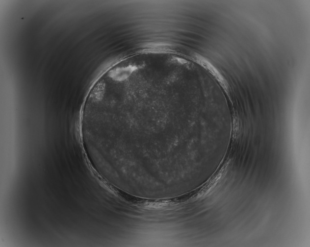 X0000093371386200711081516