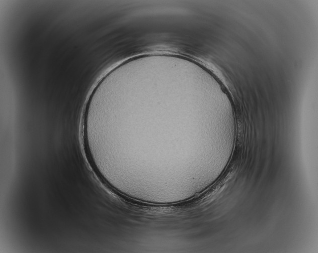 X0000093371387200711081516