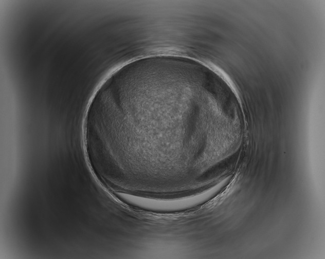 X0000093371389200711081516