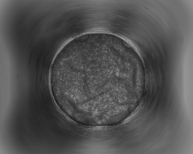 X0000093371390200711081516