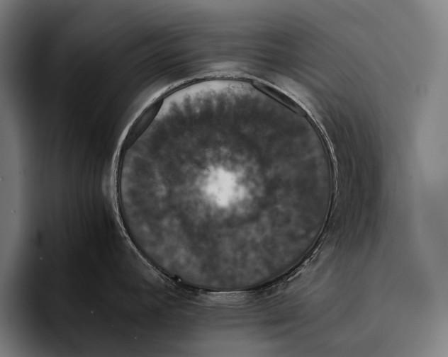 X0000093371392200711081516