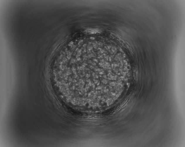 X0000093371393200711081515