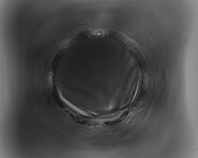X0000093371394200711081515