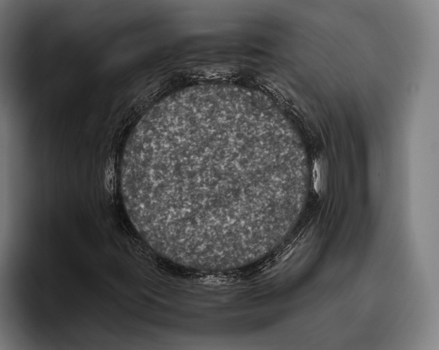 X0000093371395200711081515