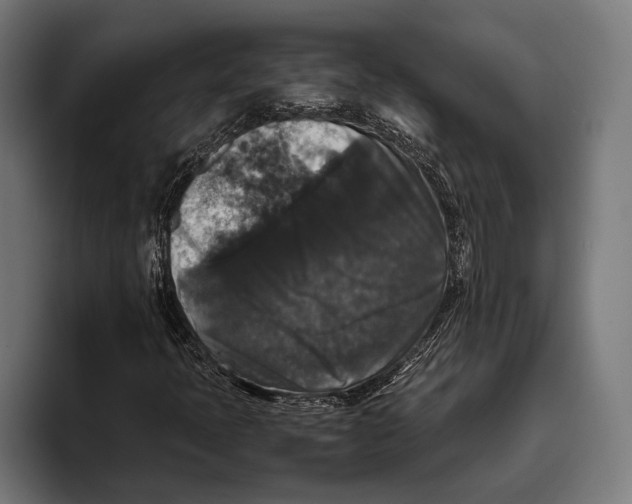 X0000093371397200711081515