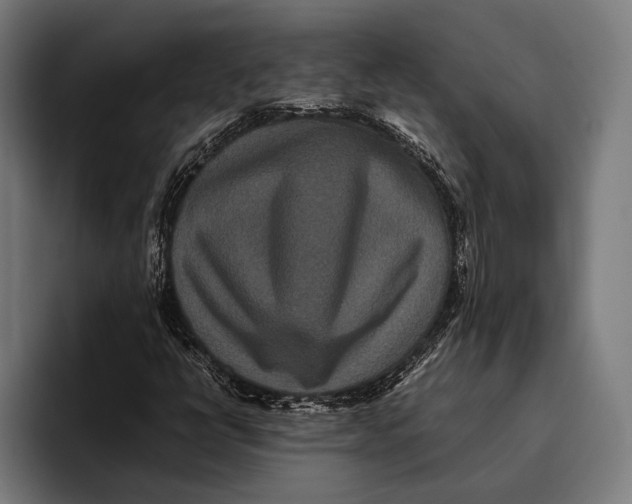 X0000093371398200711081515
