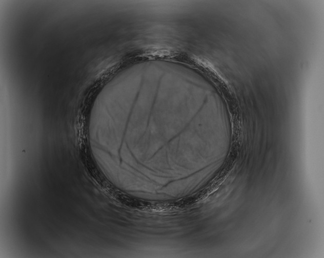 X0000093371399200711081515