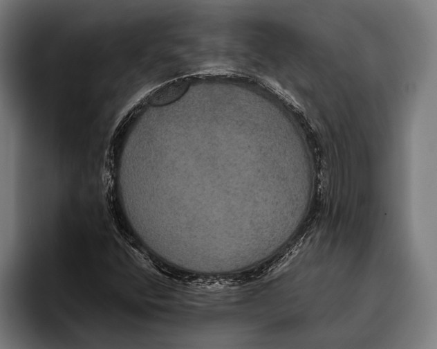 X0000093371400200711081515