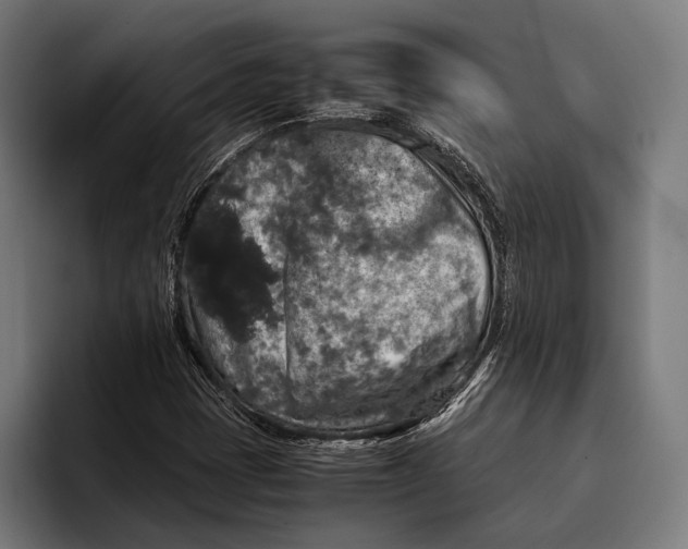 X0000093371401200711081515