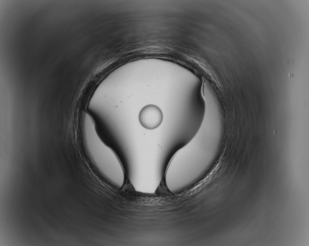 X0000093371402200711081515