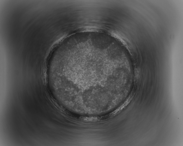 X0000093371403200711081515