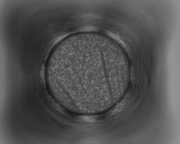 X0000093371404200711081515