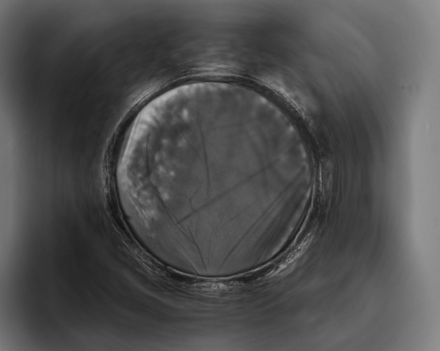 X0000093371405200711081515