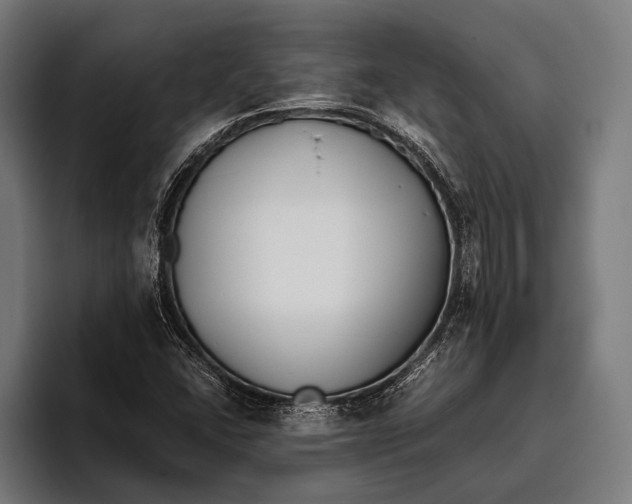 X0000093371406200711081515