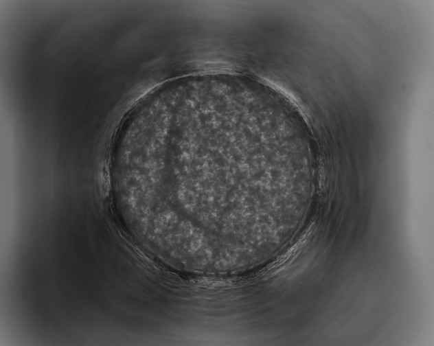 X0000093371407200711081515