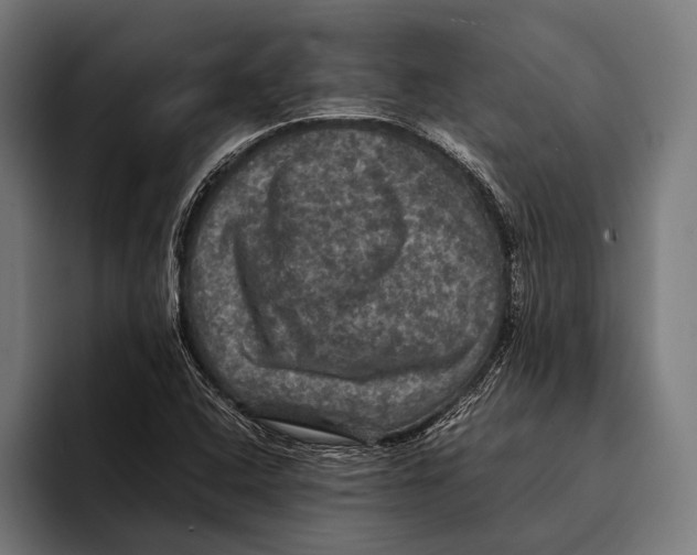 X0000093371408200711081515