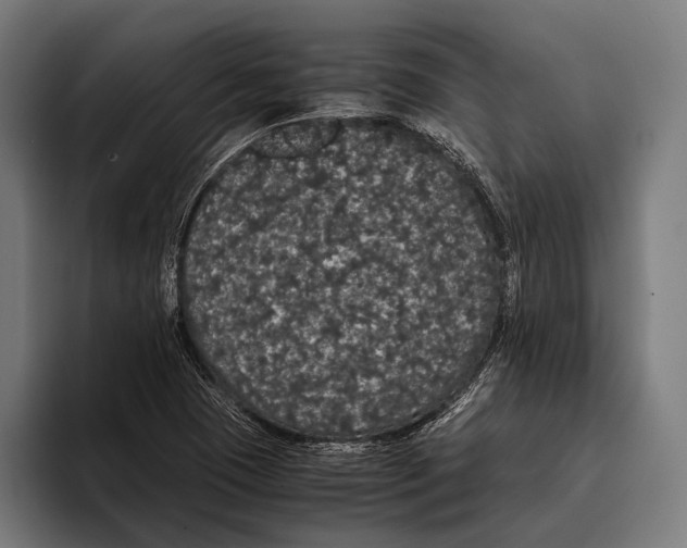 X0000093371409200711081515