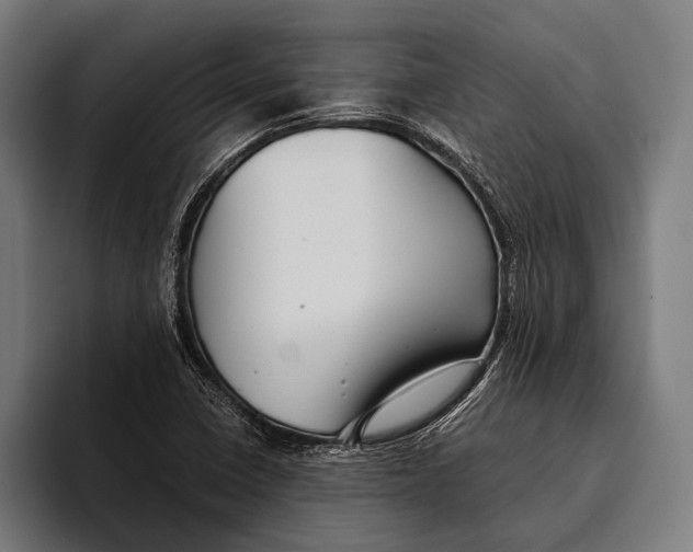 X0000093371410200711081515