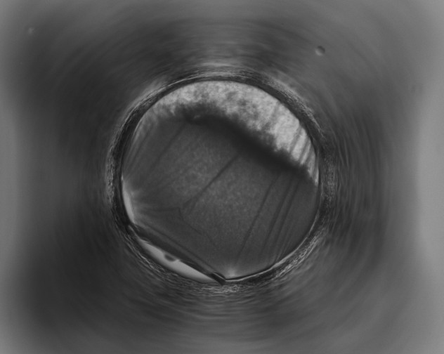 X0000093371411200711081515