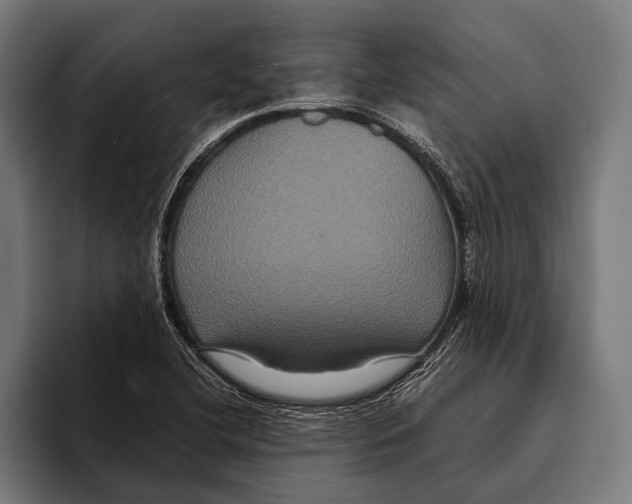 X0000093371412200711081515