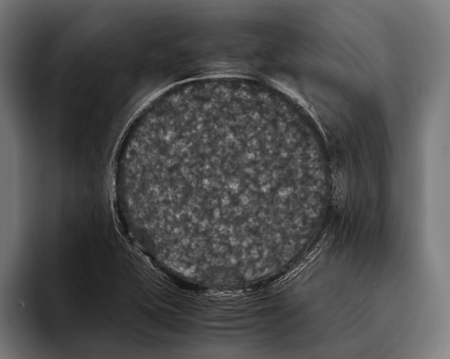 X0000093371415200711081515