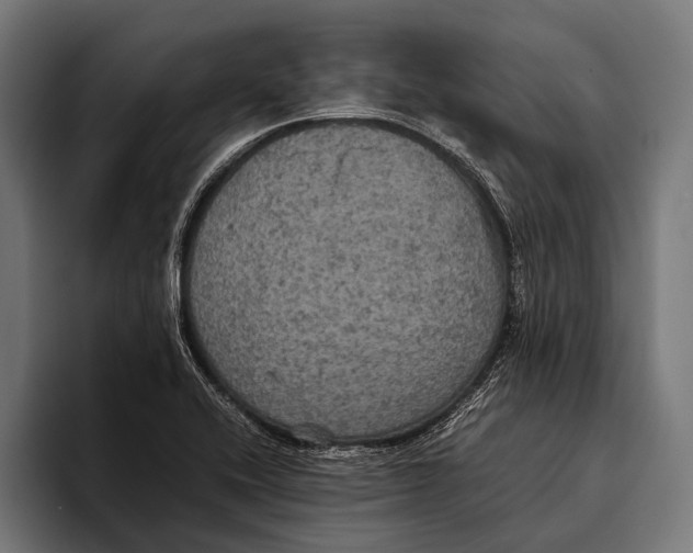 X0000093371416200711081515