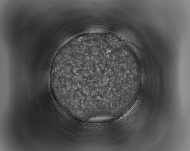 X0000093371417200711081515