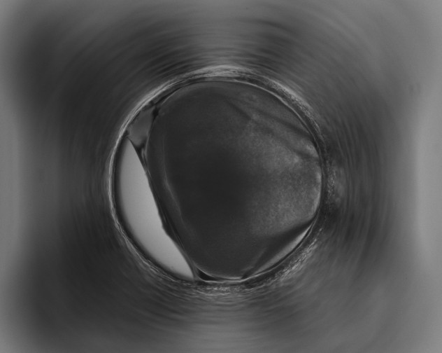 X0000093371418200711081515
