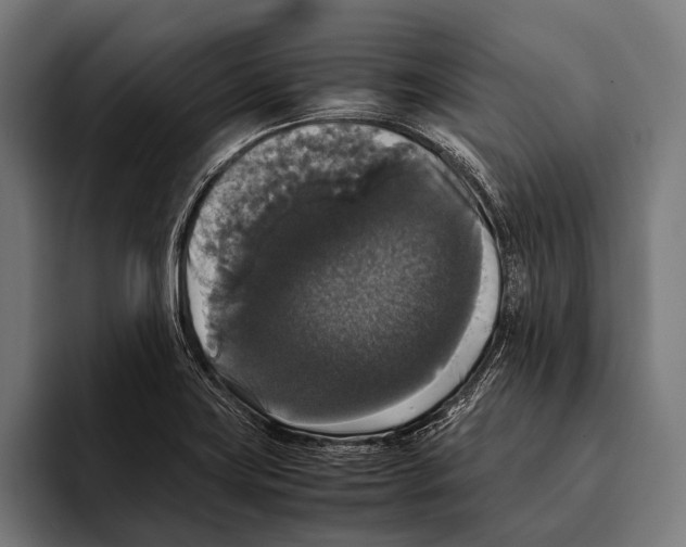 X0000093371419200711081515