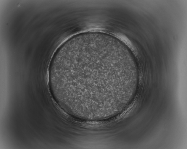 X0000093371420200711081516